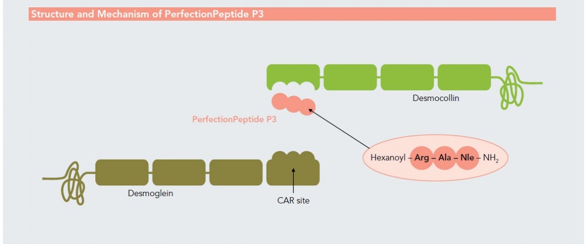 perfection-peptide-p3-callisto-cosmetics